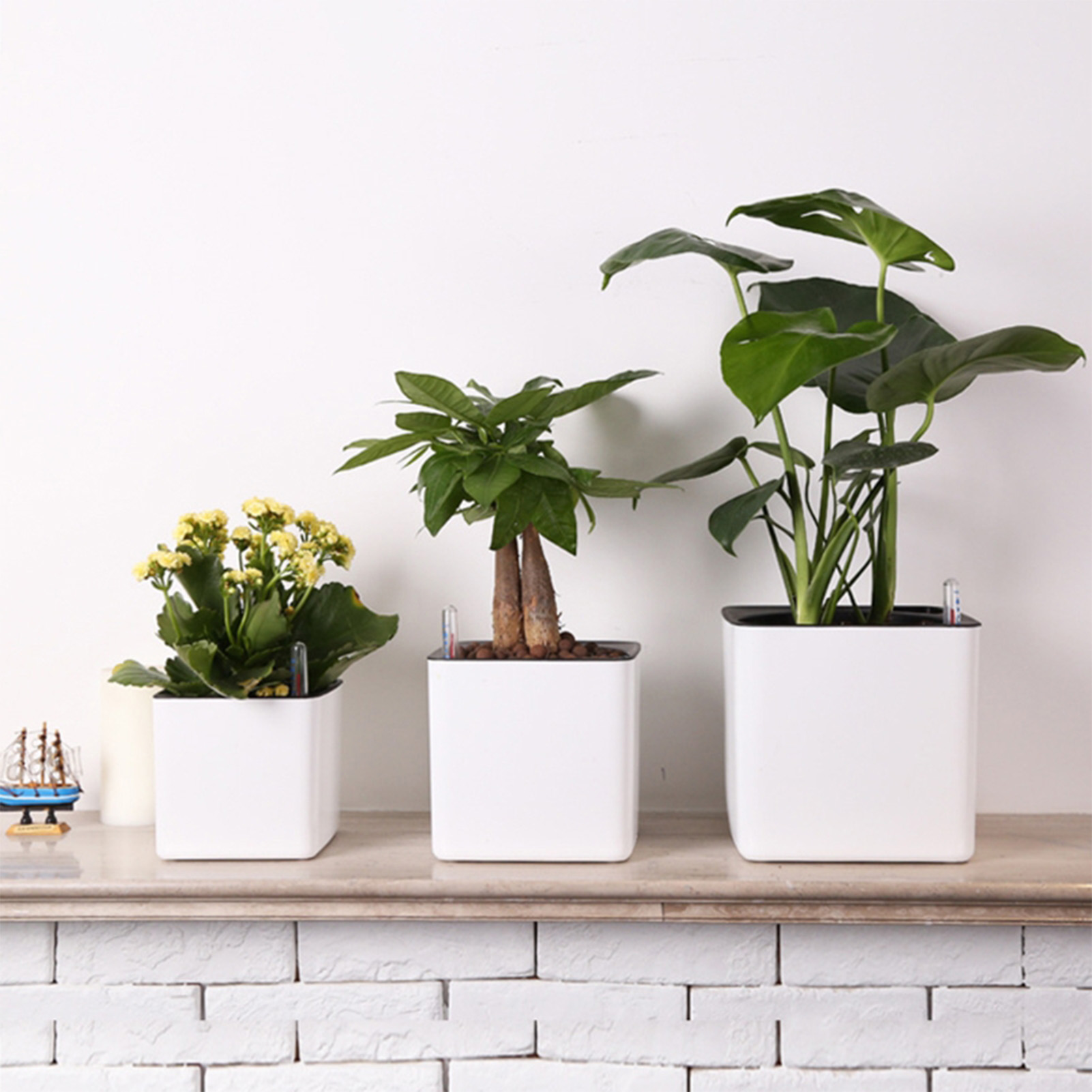 Macetas de plantas de flores c - Self Watering Insert reseña y precio