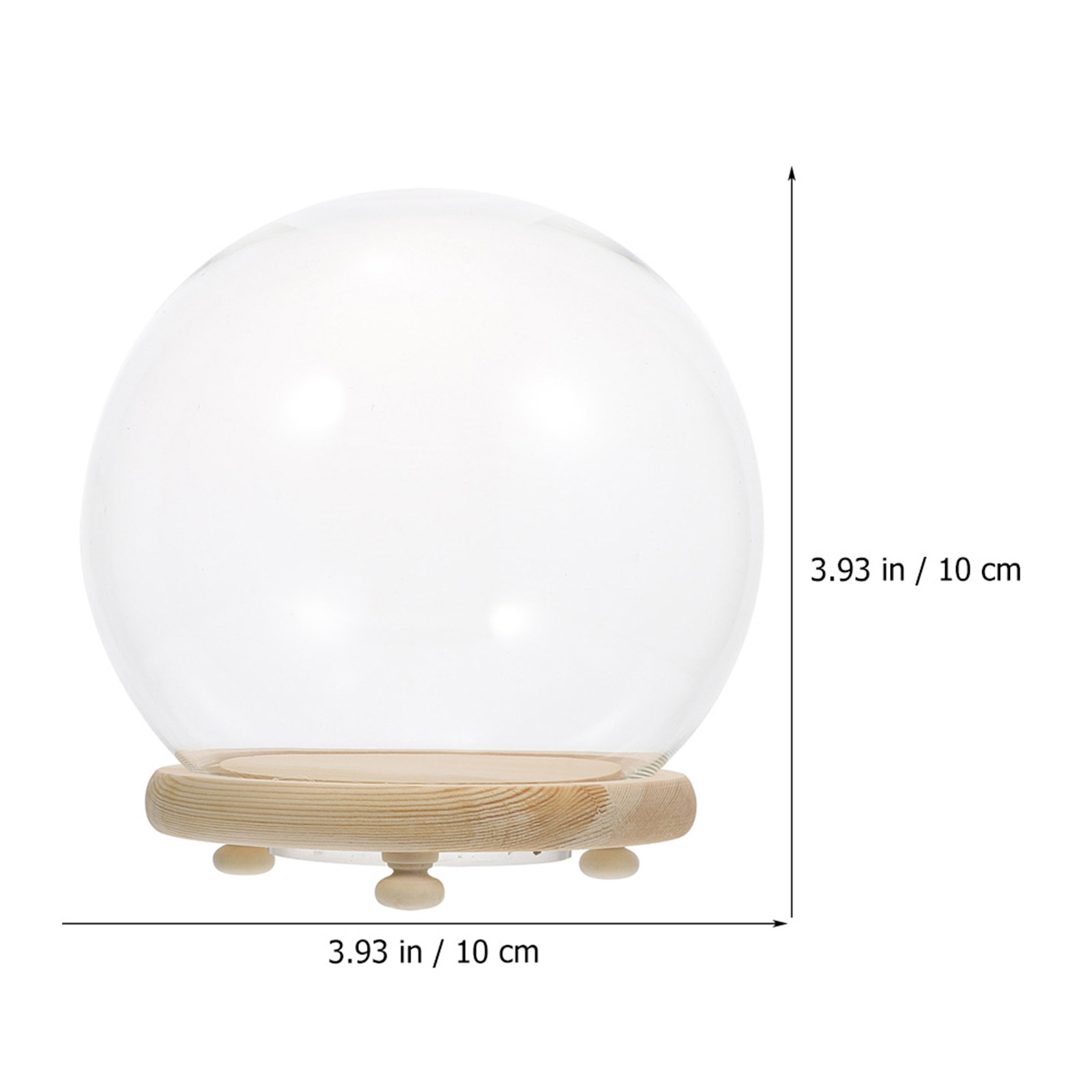 Cúpula de Cristal Transparente - Plastic Dome Clear reseña y precio