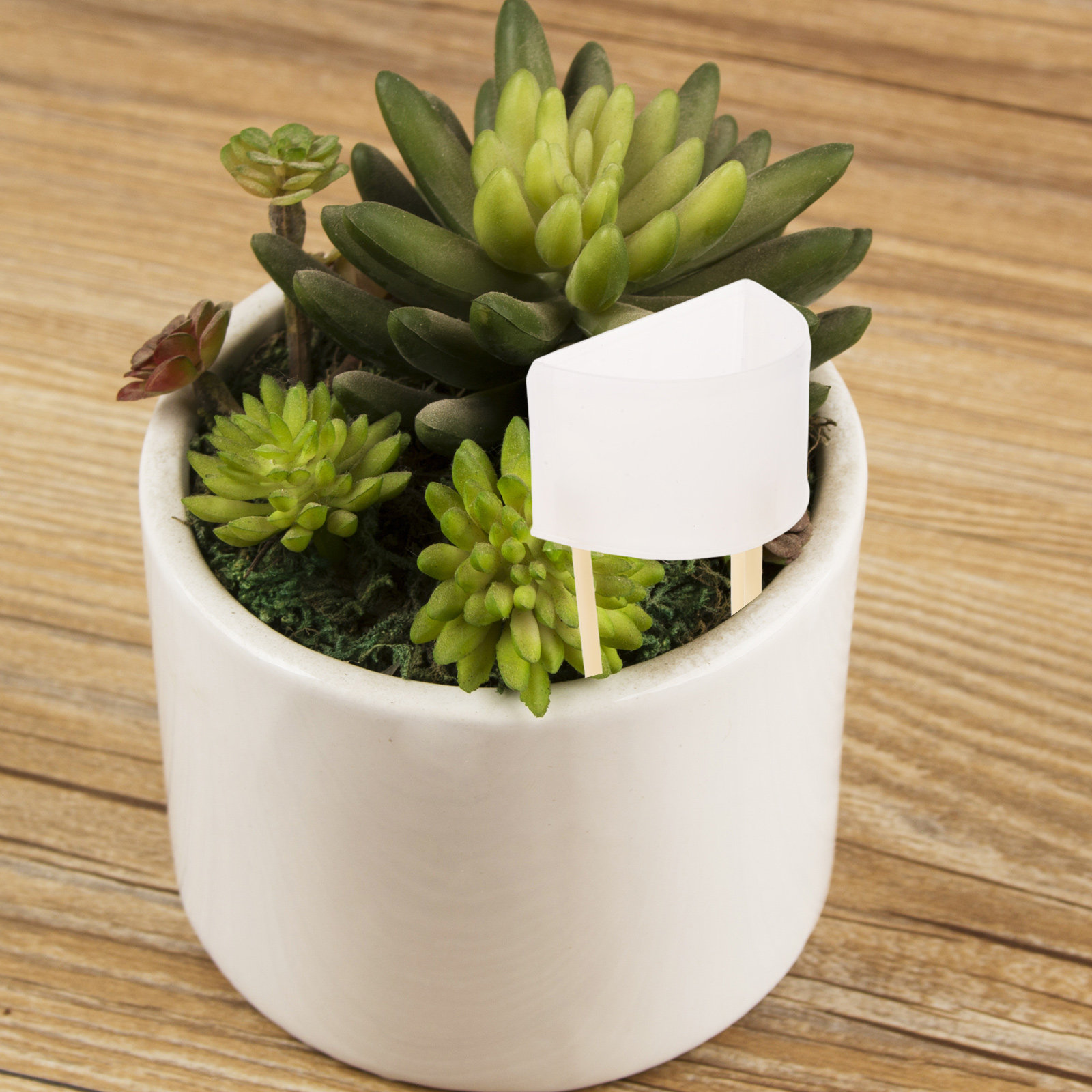 Espiga de riego automático par - Self Watering Insert reseña y precio