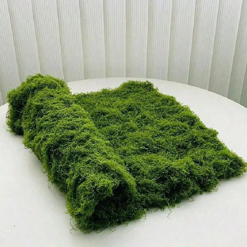 Musgo artificial para decoraci - Sphagnum Moss Dry reseña y precio